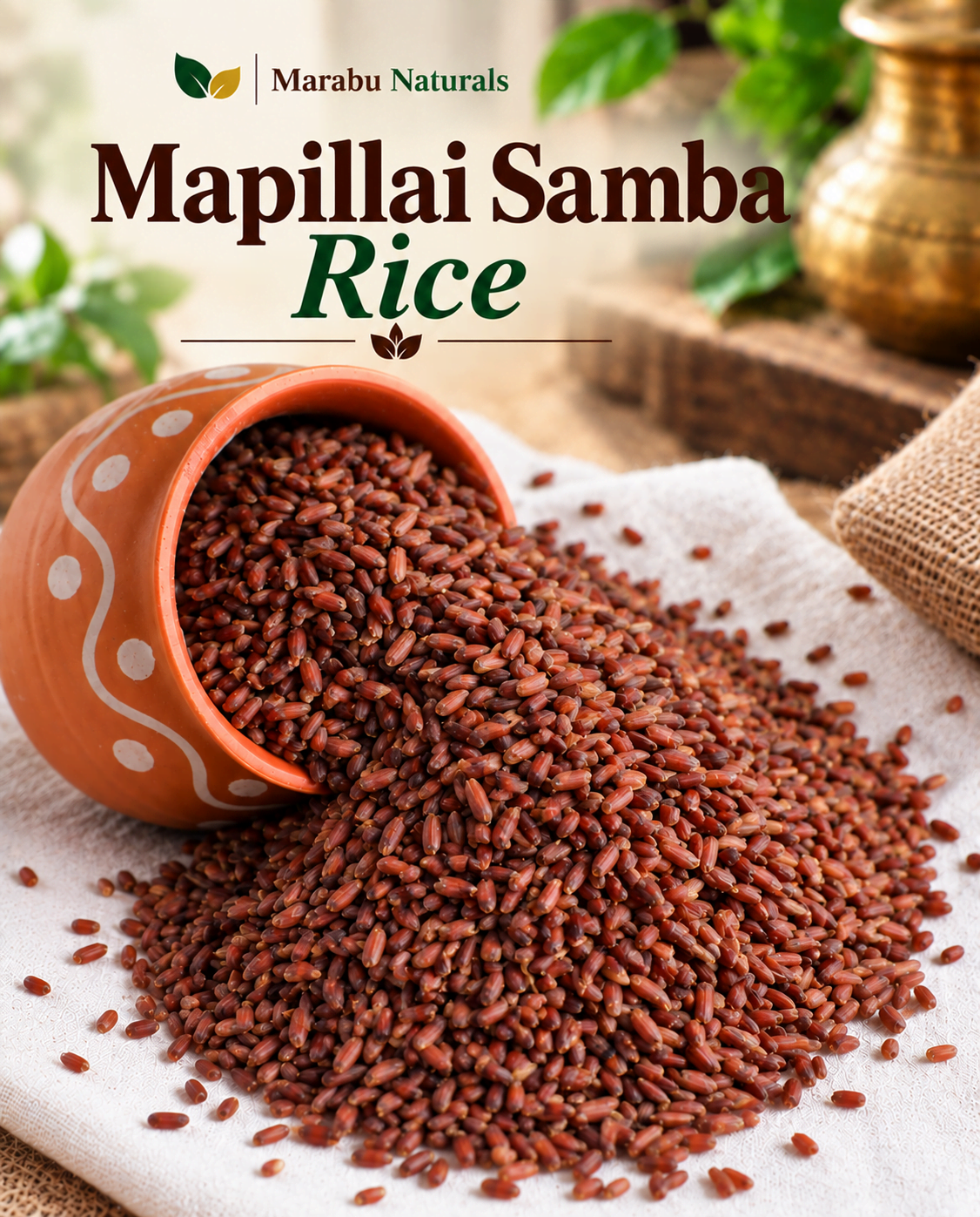 Mapillai Samba Rice | மாப்பிள்ளை சம்பா அரிசி