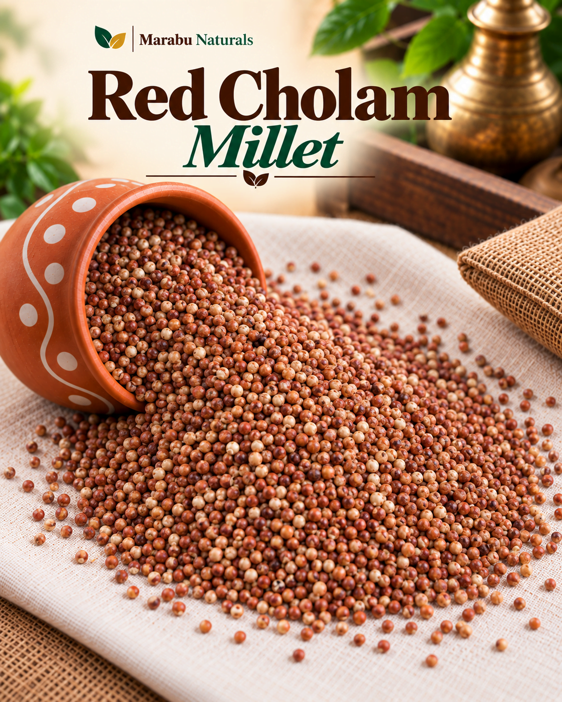 Red Cholam Whole Grains | சிவப்பு சோளம் சிறுதாணியம்