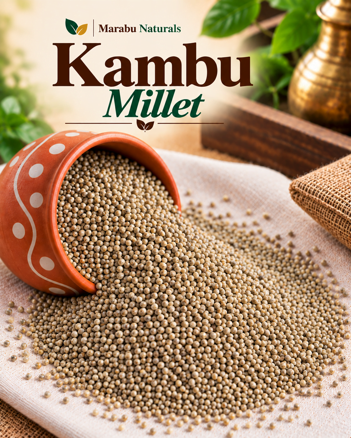 Kambu Millet Whole Grains | கம்பு