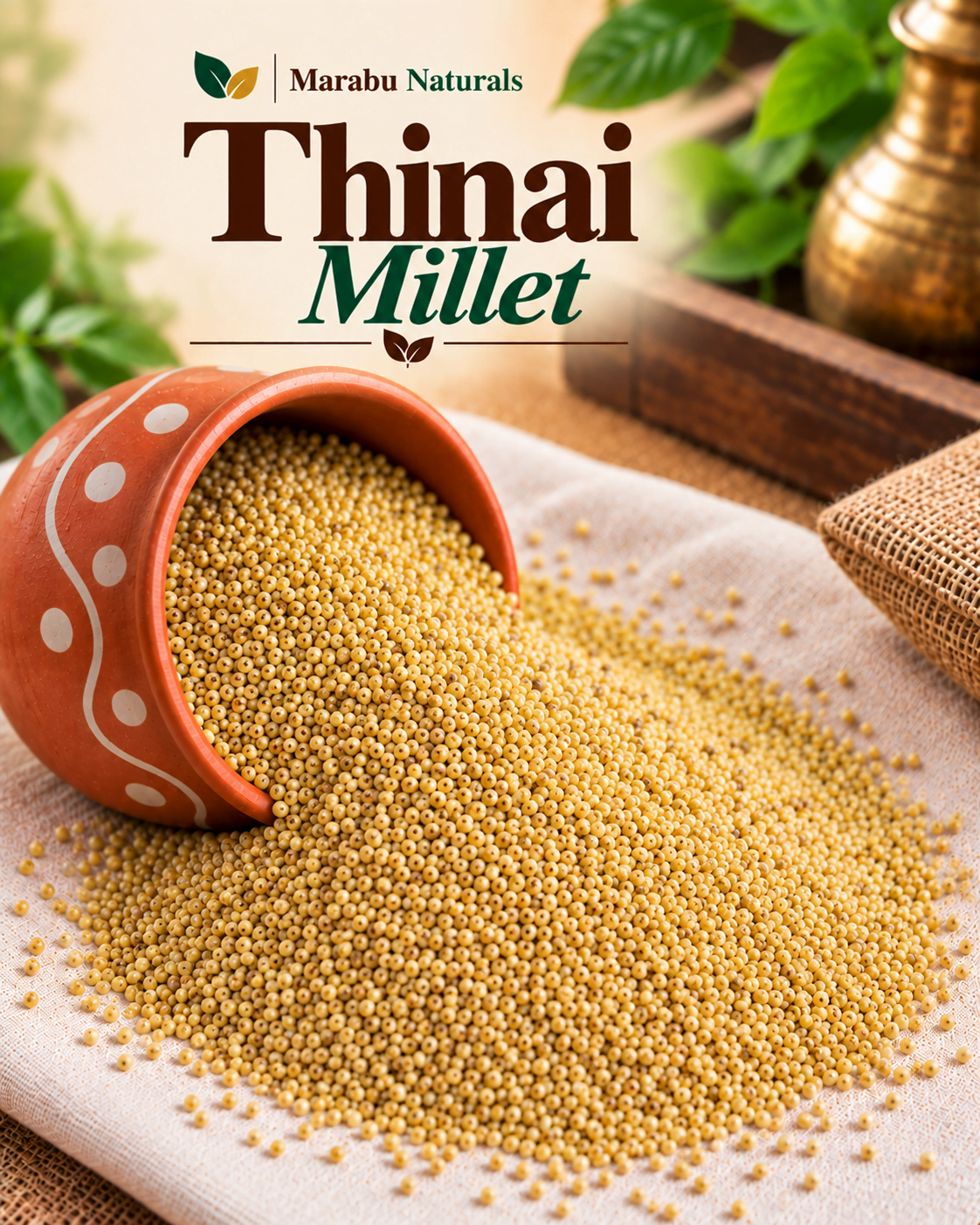Thinai Whole Grains | தினை சிறுதாணியம்